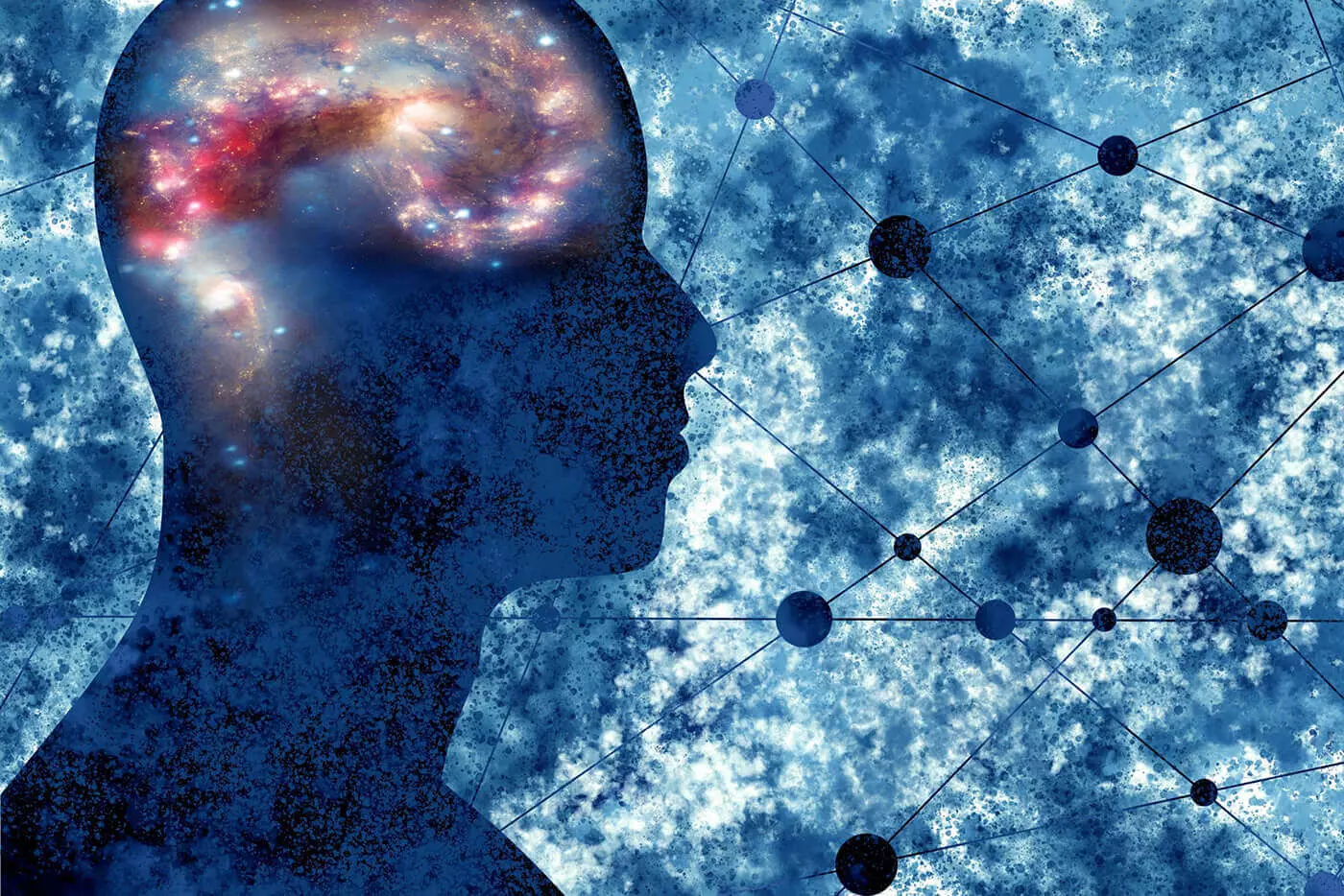 The Scientific Study of Consciousness