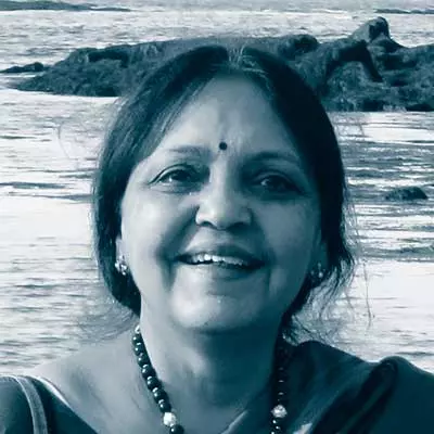Vasudha Narayanan 教授