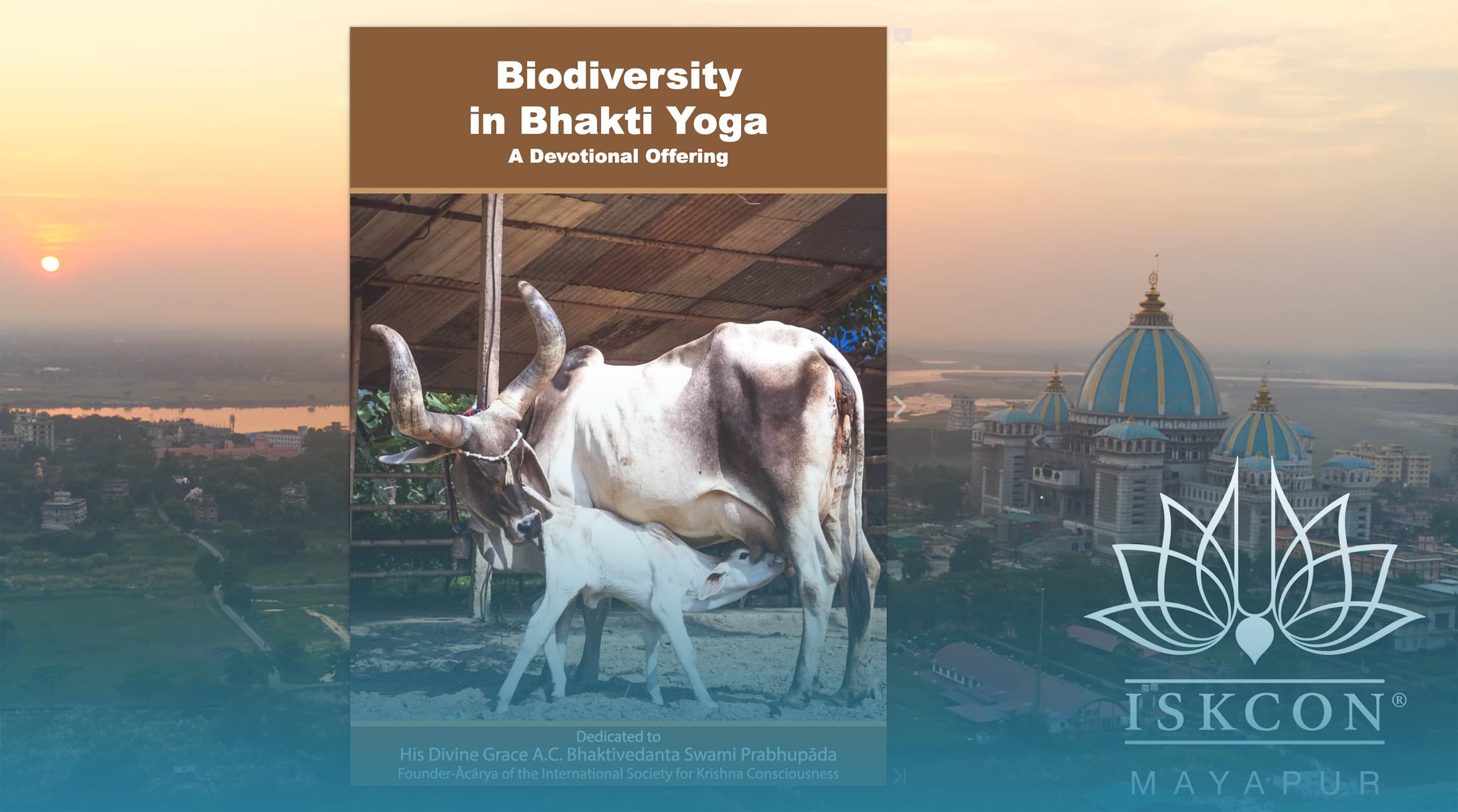 TOVP представляет: Биоразнообразие в бхакти-йоге — преданное подношение