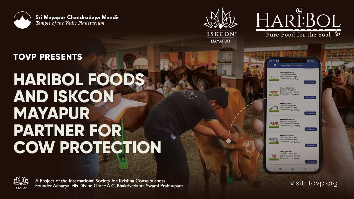 HariBol Foods сотрудничает с ISKCON Mayapur, чтобы стать пионером в области ухода за коровами с помощью Интернета вещей и предоставить мобильный медицинский фургон